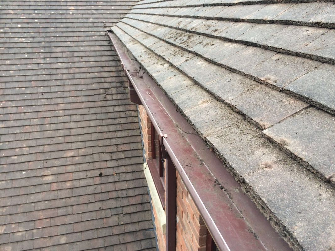 Gutter Cleaning in Albrighton