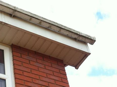 Gutter, Fascia and Soffit Cleaning Service